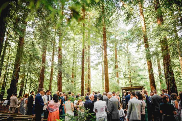 Two Woods Estate Venues in Sussex - West