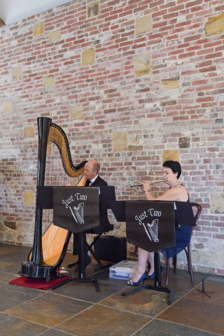 Just Two Flute and Harp Duo Music in Kent