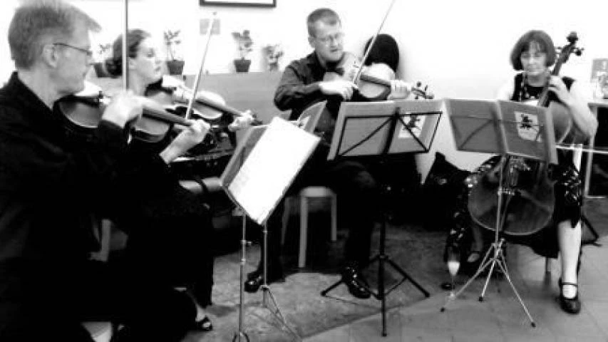 The Cotswold Ensemble, Live Music in Oxfordshire