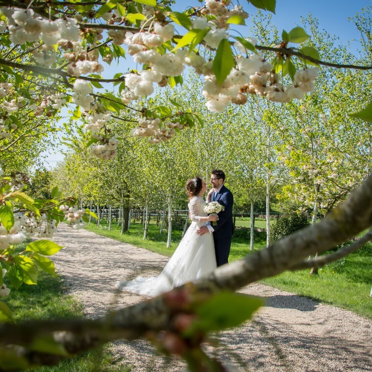 Image by Gold Light Photography