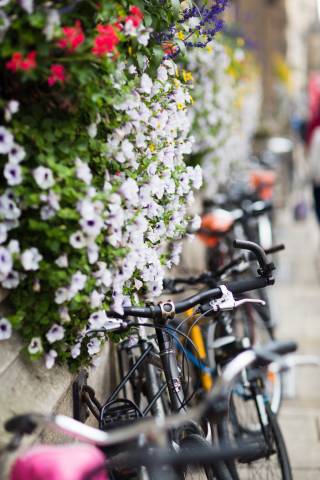 Oxford Town Hall,Venues in Oxfordshire