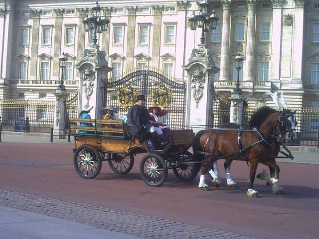 Bramble Farm Carriage Hire, Cars and Horse Drawn Carriages in Wiltshire