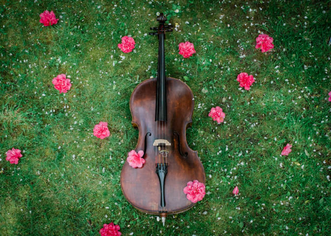 Jay Emme Cellist,Music in West Midlands