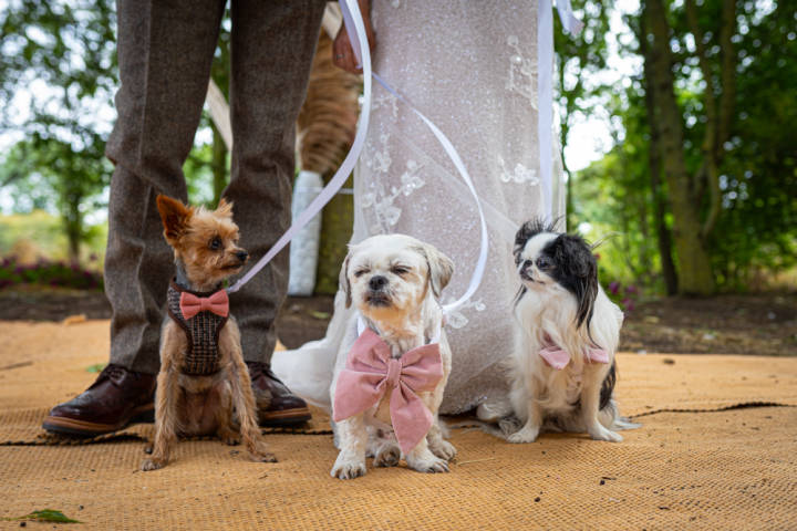 Juan Muino wedding Photography Photographers in Cambridgeshire