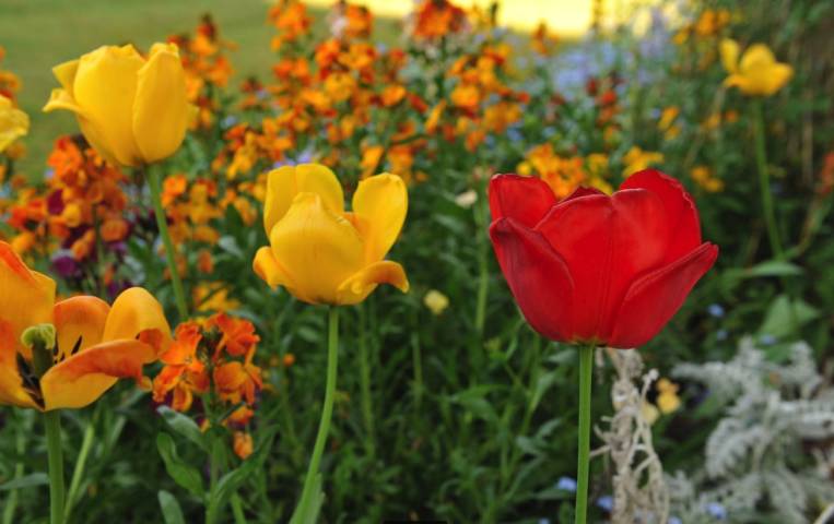 Pamber Place Gardens,Venues in Hampshire