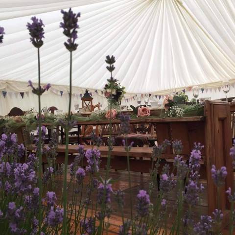 Low Gingerfield Farm Wedding Venue in Richmond Yorkshire