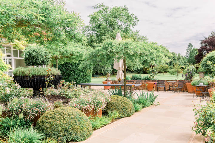 Rose Terrace