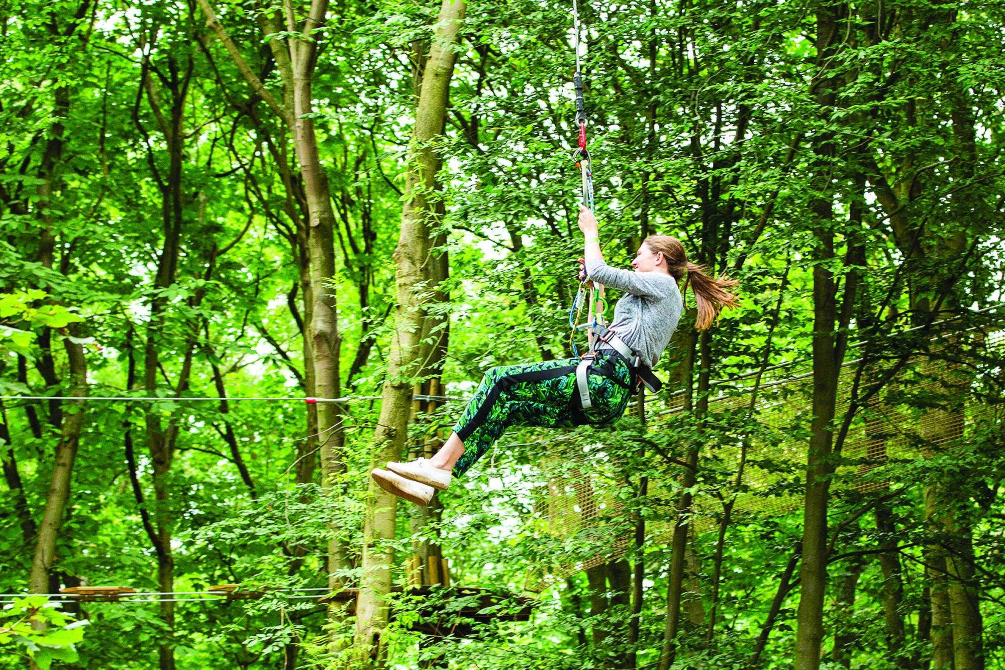 Go Ape Hen & Stag in Dorset
