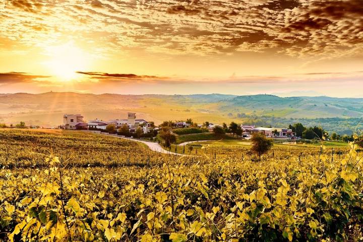 Zornitza Family Estate Relais & Châteaux Weddings Abroad in Overseas