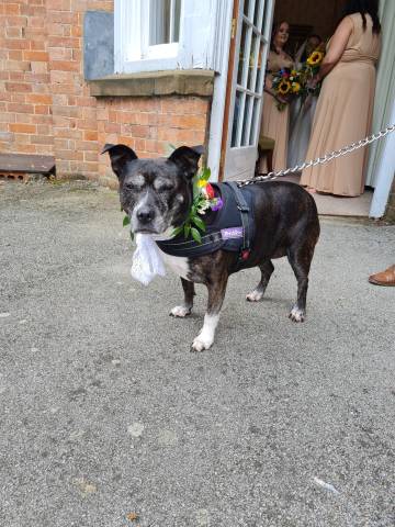 The Charlecote Pheasant Hotel Venues in Warwickshire