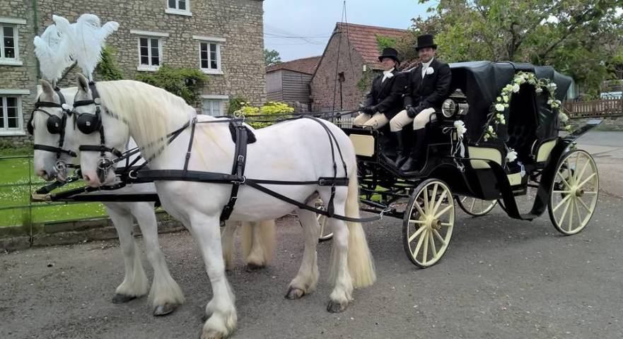 Catherine's Carriage's, Cars & Horse Drawn Carriages in Gloucestershire