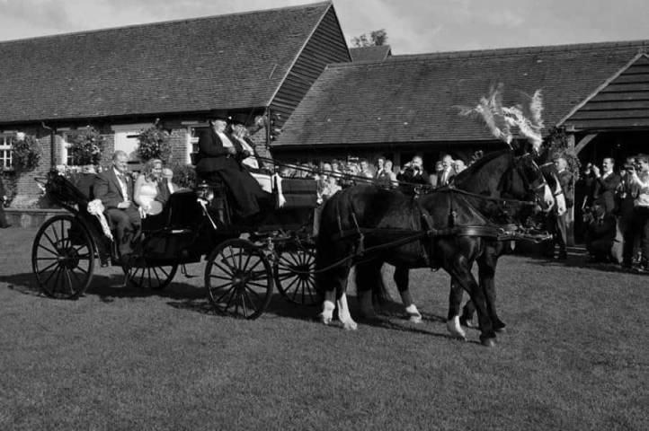 Just Dandy Horse & Carriage,Cars & Horse Drawn Carriages in Kent