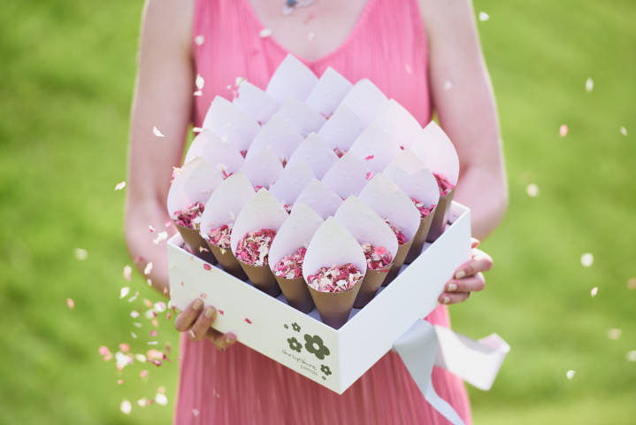 Shropshire Petals Confetti in box with 25 cones