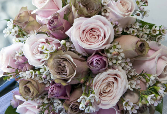 Oops-a-Daisy Florists in Gloucestershire