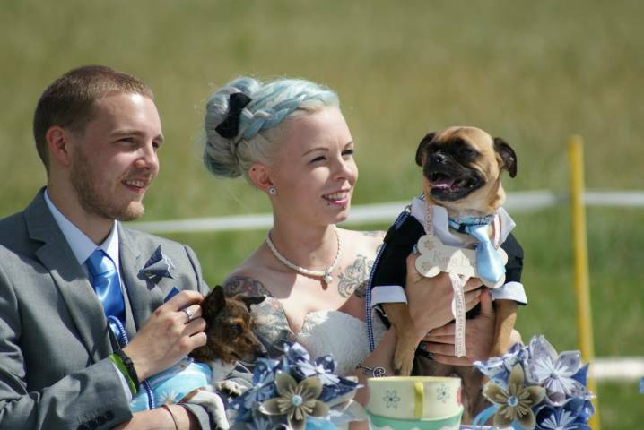 White Rose Ceremonies®,Celebrants & Toastmasters in North Wales