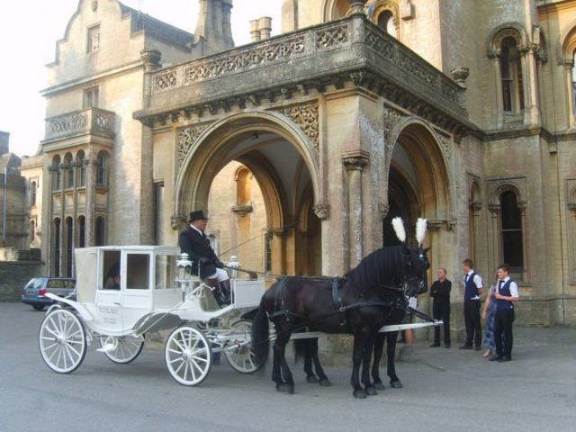 Bramble Farm Carriage Hire, Cars and Horse Drawn Carriages in Wiltshire
