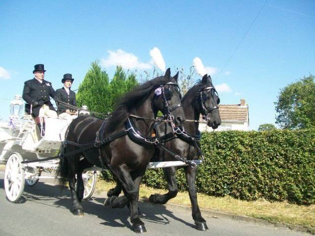 Bramble Farm Carriage Hire, Cars and Horse Drawn Carriages in Wiltshire