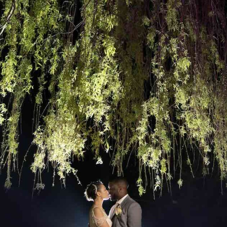 Wedding couple beneath the willow tree in Cambridge