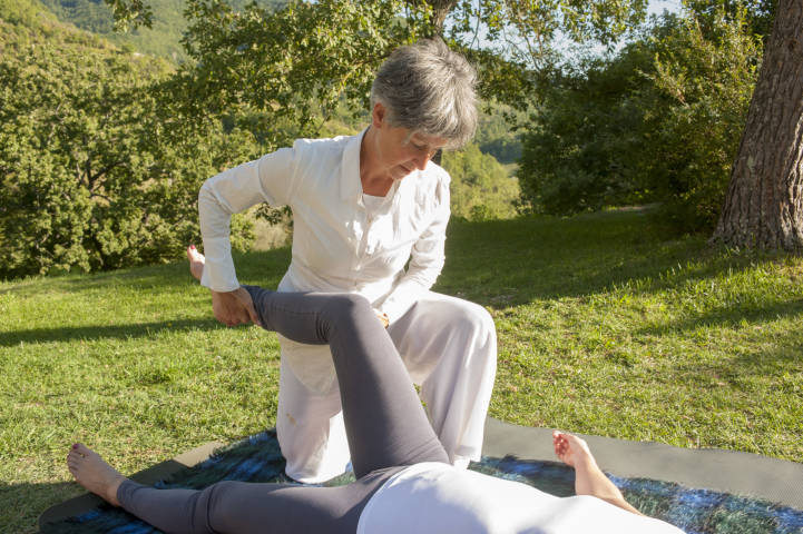 Supporting kidney chi