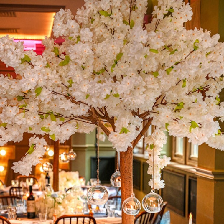 Elegant Blossom Trees