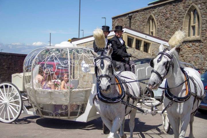 Bramble Farm Carriage Hire & wedding venue,Cars & Horse Drawn Carriages in Wiltshire