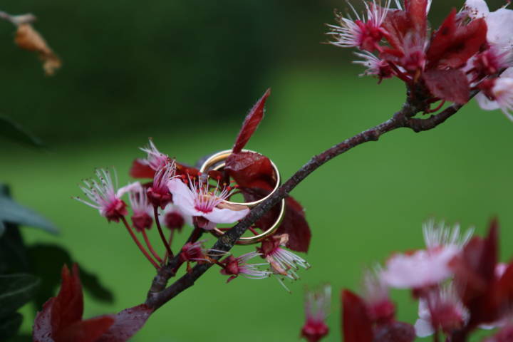 weddig Photographer in west midlands