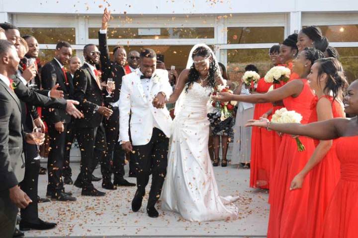 The Wedding Photo Company Photographers in Hampshire