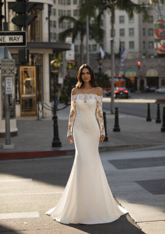 Pronovias Winters dress