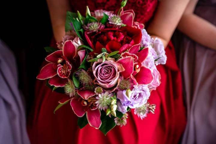 Tansley Photography,Photographers in Hampshire