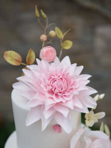 The Little Sugar Box,Cakes and Sweet Treats in Kent