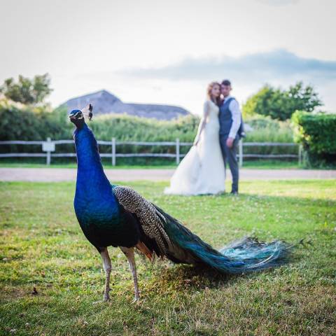 Bailiffscourt Hotel & Spa,Venues in Sussex - West