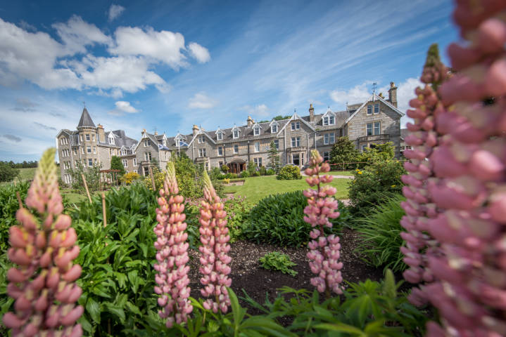 Hotel Exterior and Gardens