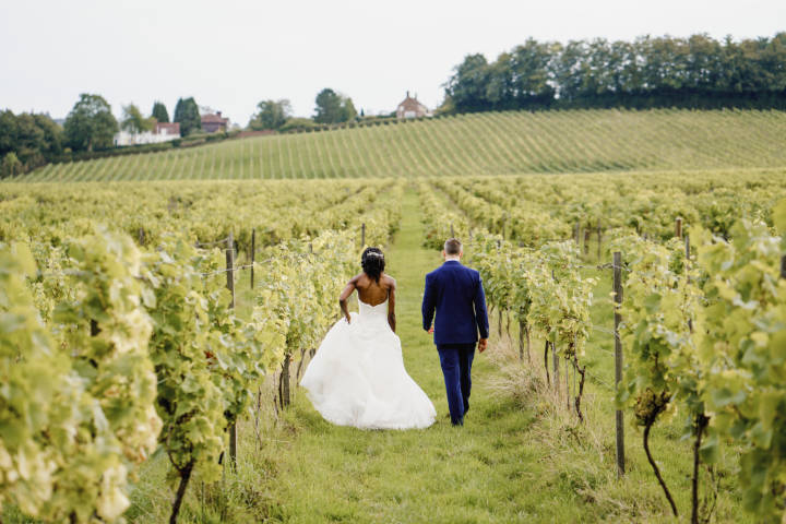 Denbies Wine Estate Venues in Surrey