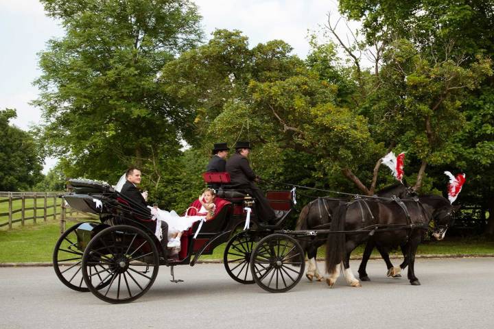 Just Dandy Horse & Carriage,Cars & Horse Drawn Carriages in Kent