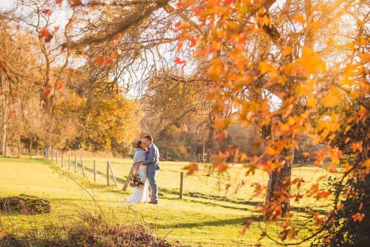 Autumn at Rockbeare Manor