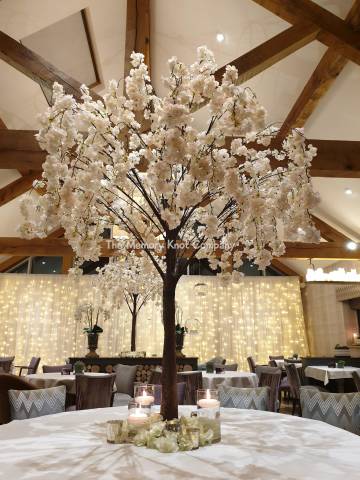 Beautiful tree on dinner table
