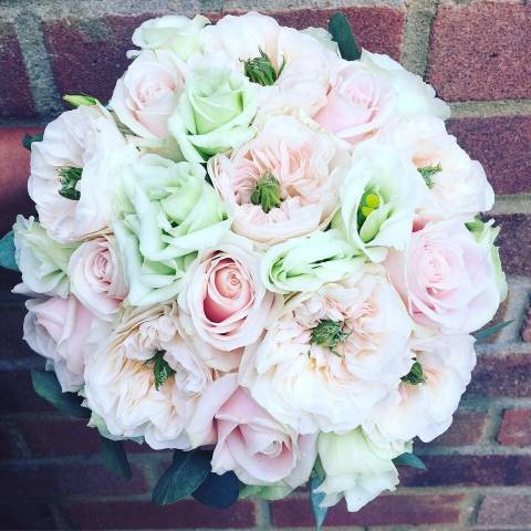 The Daisy Chain,Florists in Buckinghamshire