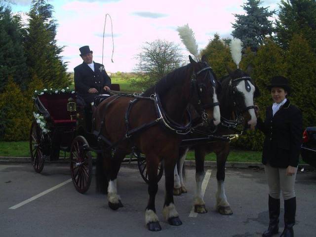Bramble Farm Carriage Hire, Cars and Horse Drawn Carriages in Wiltshire