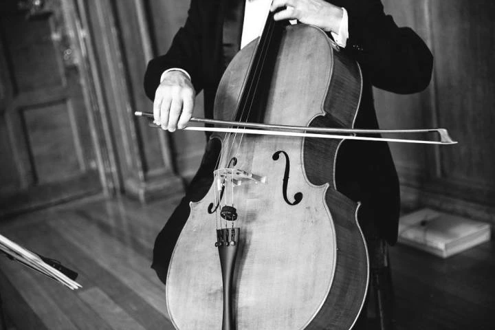 The Cotswold Ensemble, Live Music in Oxfordshire, (Gabrielle Mcmillan Photography)