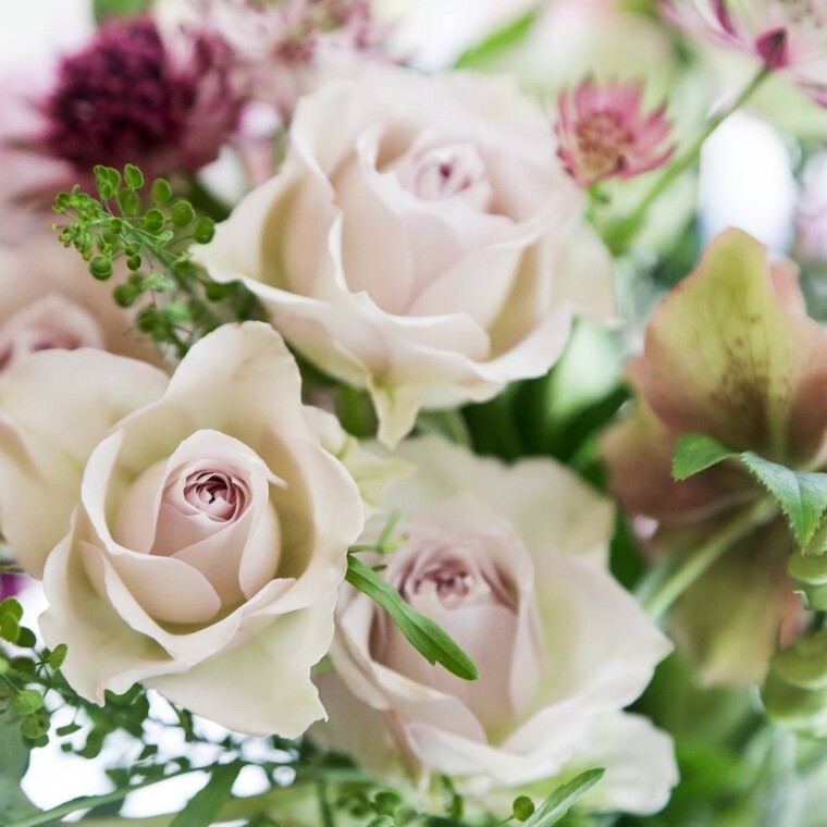 white and pink rose mix