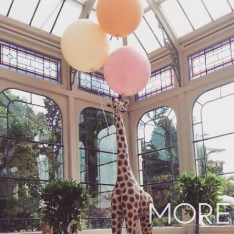 More Weddings,Venue Decor & Furniture Hire in West Midlands