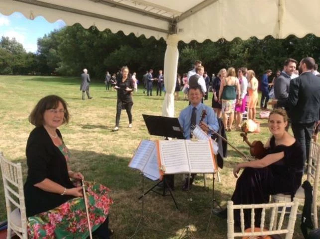 The Cotswold Ensemble, Live Music in Oxfordshire