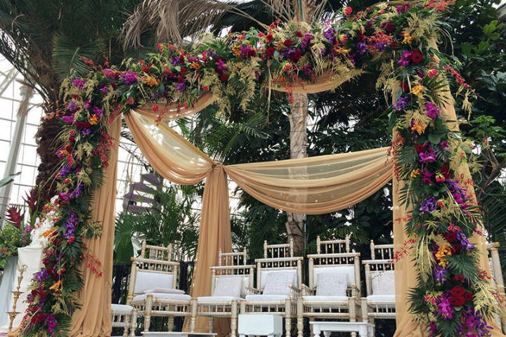 Frog Floral Artistry,Florists in Greater Manchester