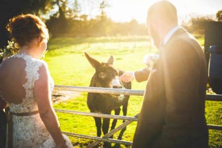 The Hundred House Hotel,Venues in Shropshire