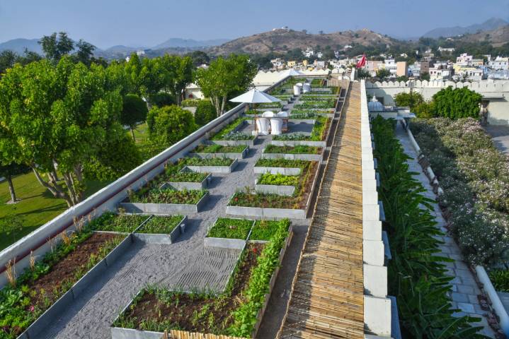 RAAS Devigarh,Weddings Abroad in Overseas