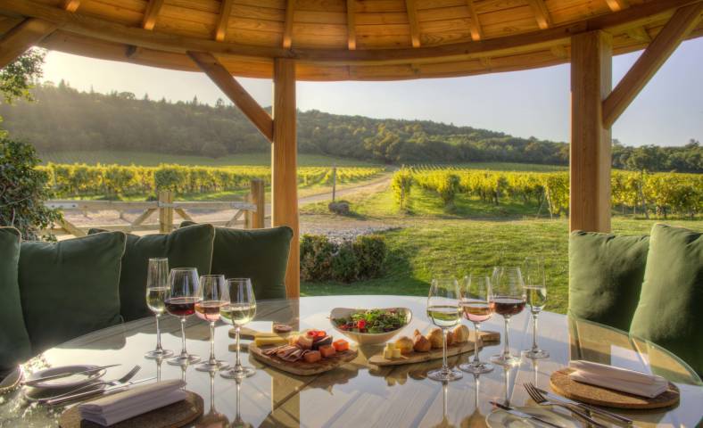 Denbies Wine Estate Venues in Surrey