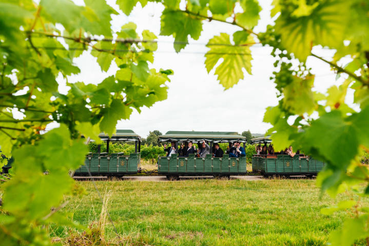 Denbies Wine Estate Venues in Surrey