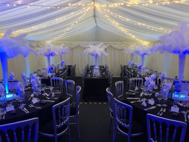 LED Pea Lights & Up Lights