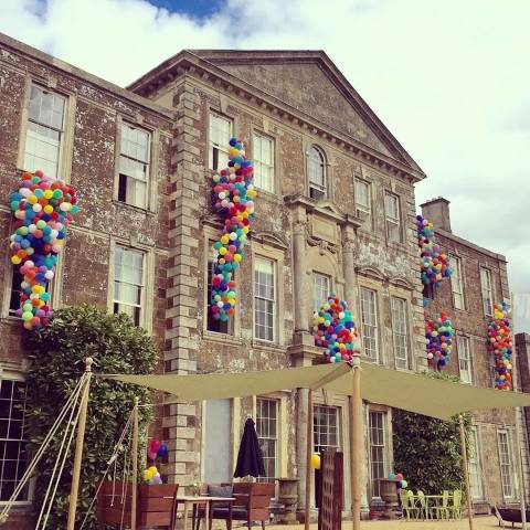 Bubblegum Balloons,Balloons in Hampshire