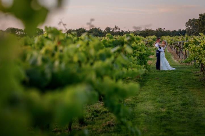 Wickham Estste previously Three Choirs Vineyard Venues in Hampshire